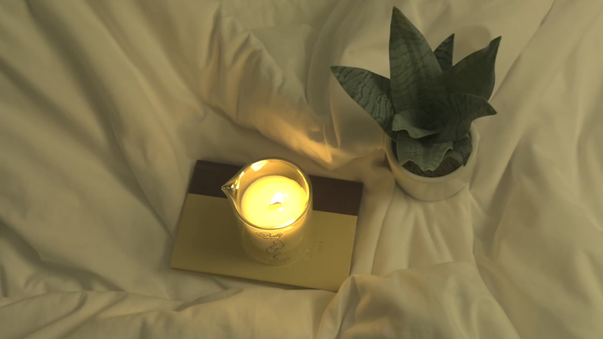 Body Melt Candle